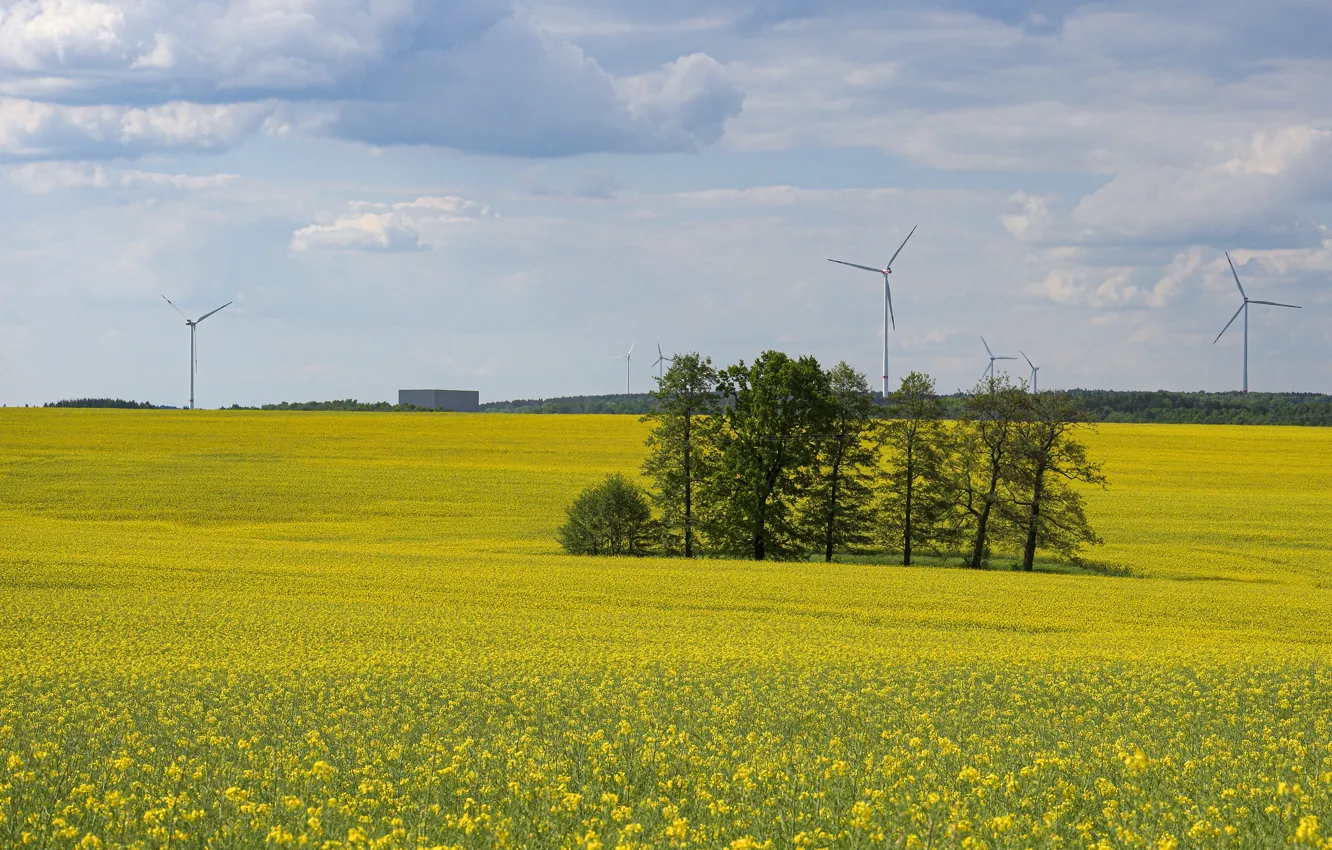 Photo wallpaper field, trees, spring, windmills, rape, rapeseed field