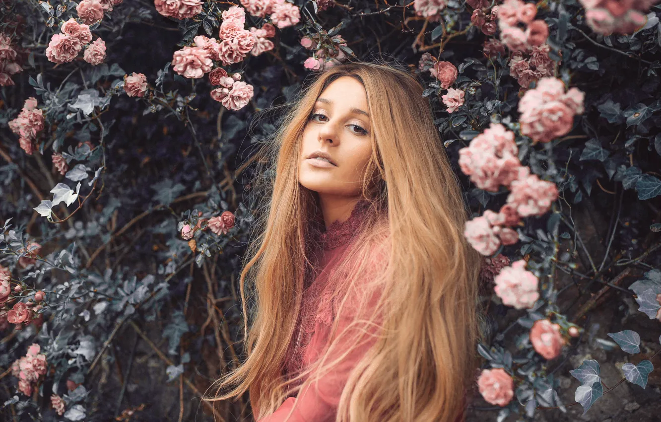 Photo wallpaper hair, portrait, roses, Rosie Hardy