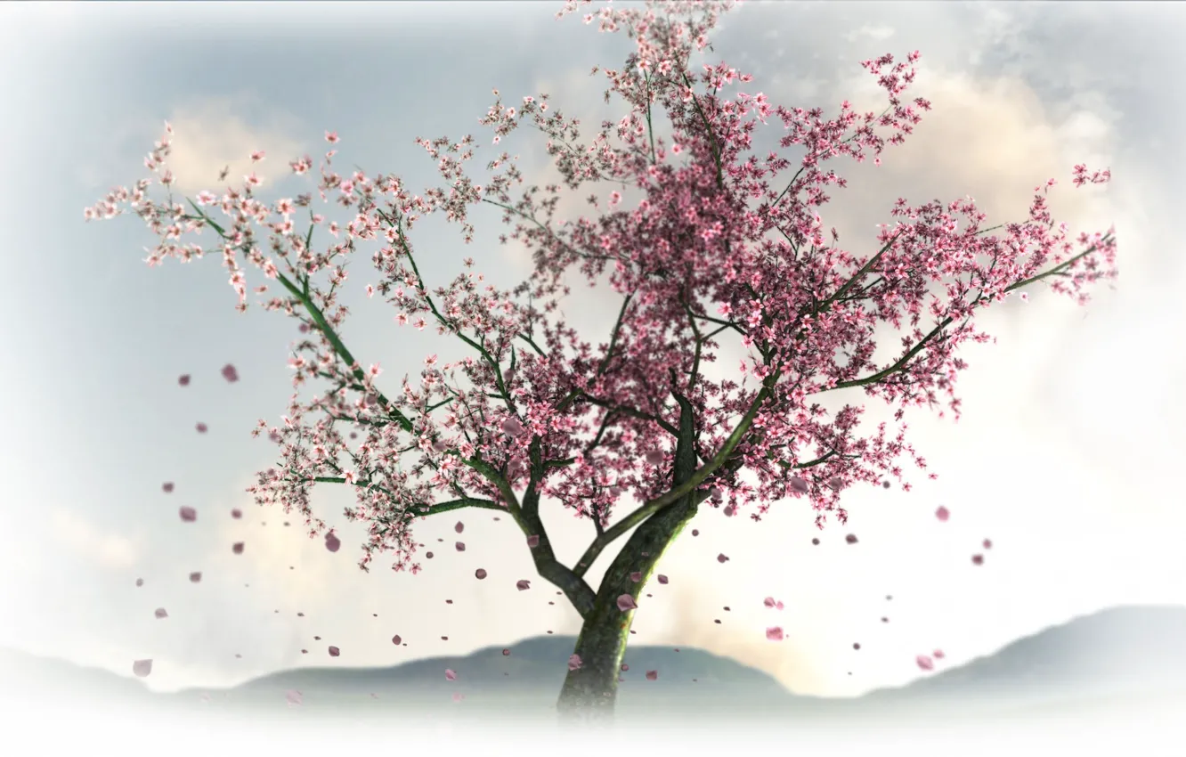 Photo wallpaper trees, flowers, spring, Sakura