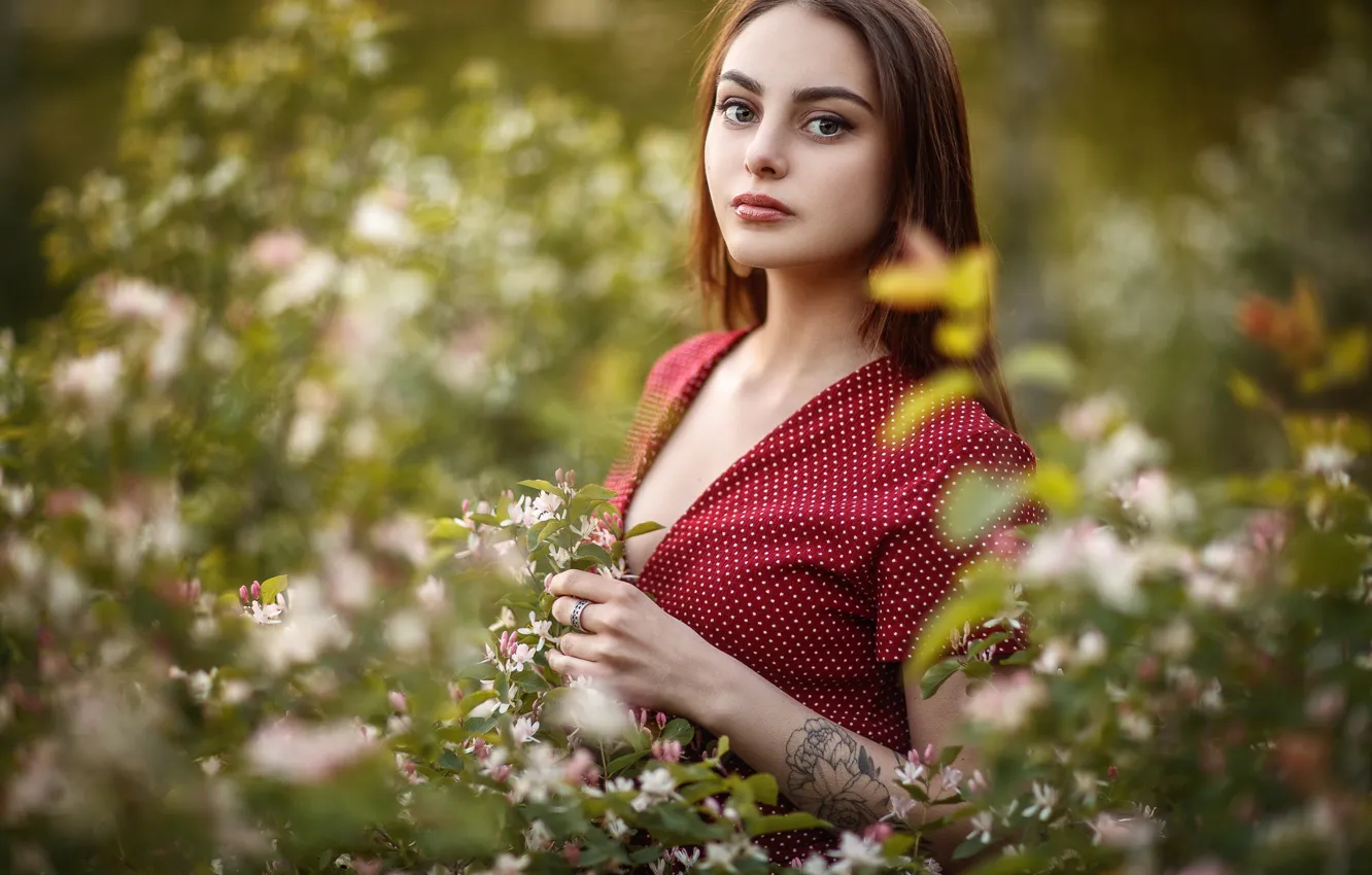 Photo wallpaper look, girl, face, bokeh, Sergey Sorokin
