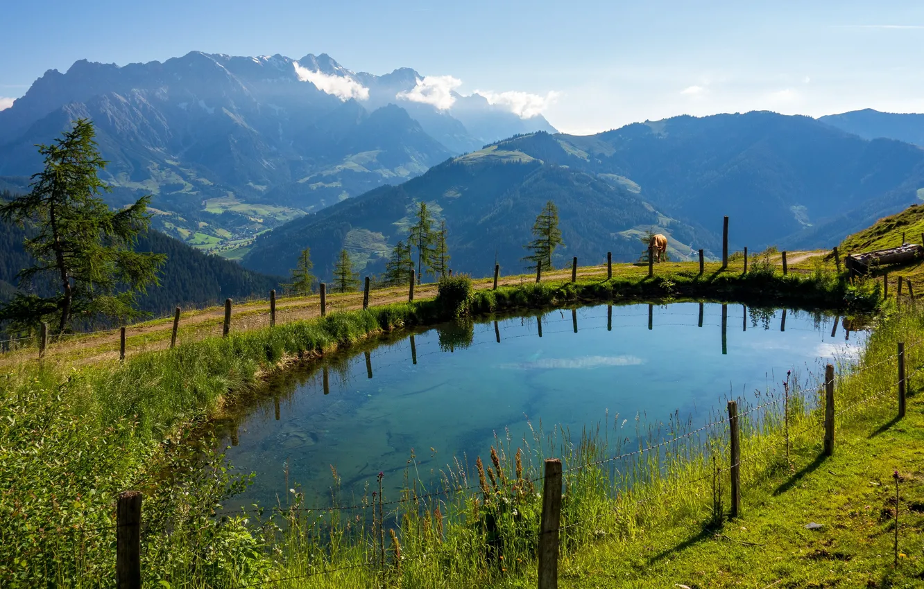 Photo wallpaper greens, summer, mountains, lake, blue, posts, cow, Alps
