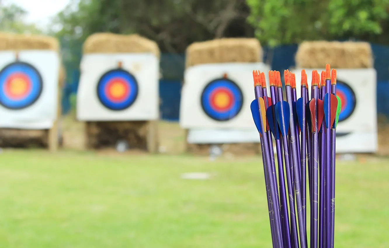 Photo wallpaper arrows, training, archery, target shooting