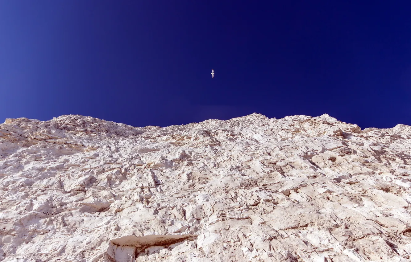 Photo wallpaper the sky, landscape, mountains, bird