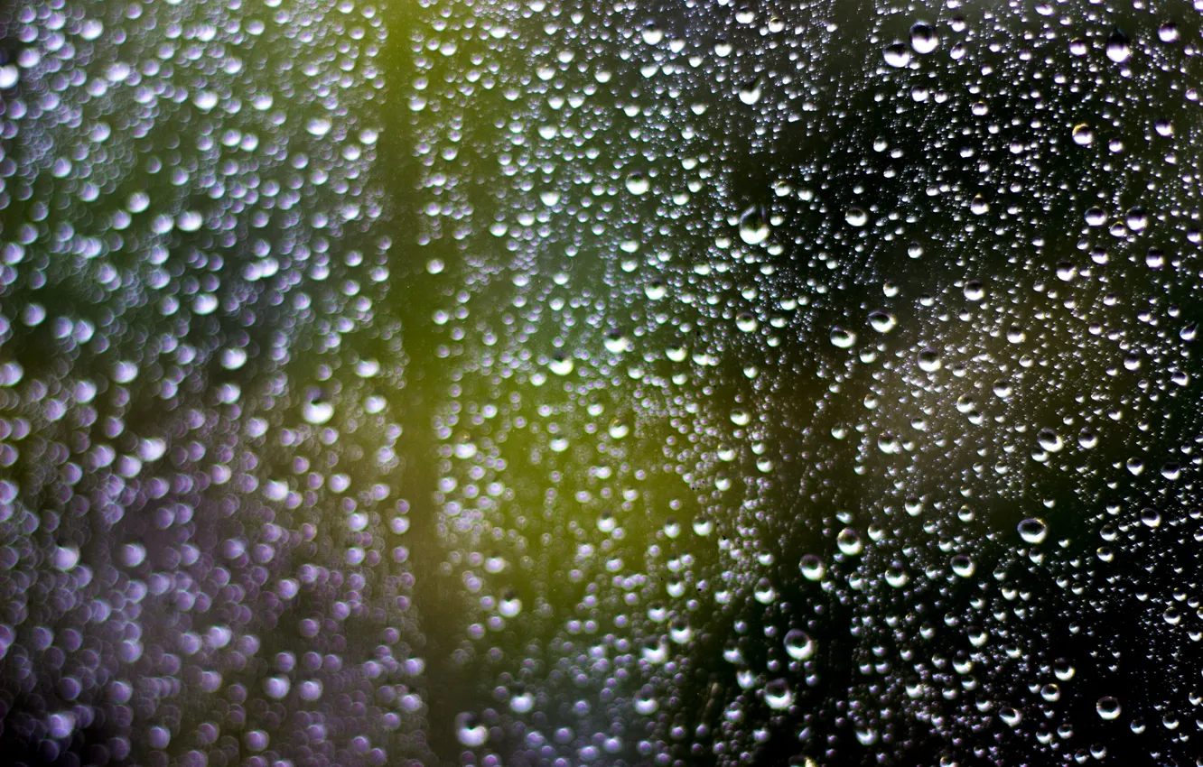 Photo wallpaper drops, macro, rain, bokeh