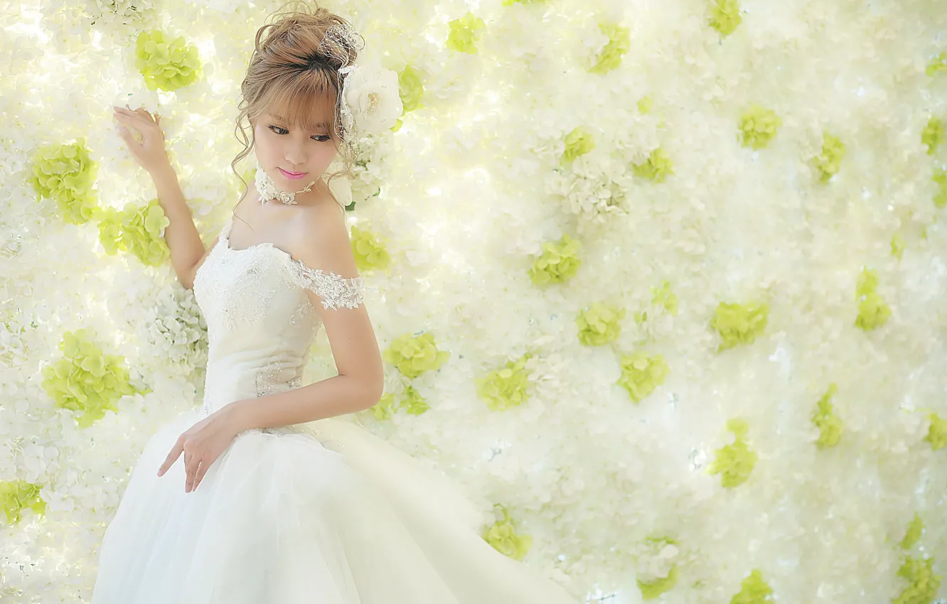 Photo wallpaper girl, face, style, background, dress, Asian