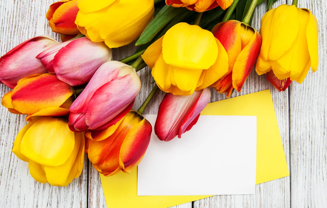 Photo wallpaper yellow, bouquet, tulips, beautiful, Olena Rudo