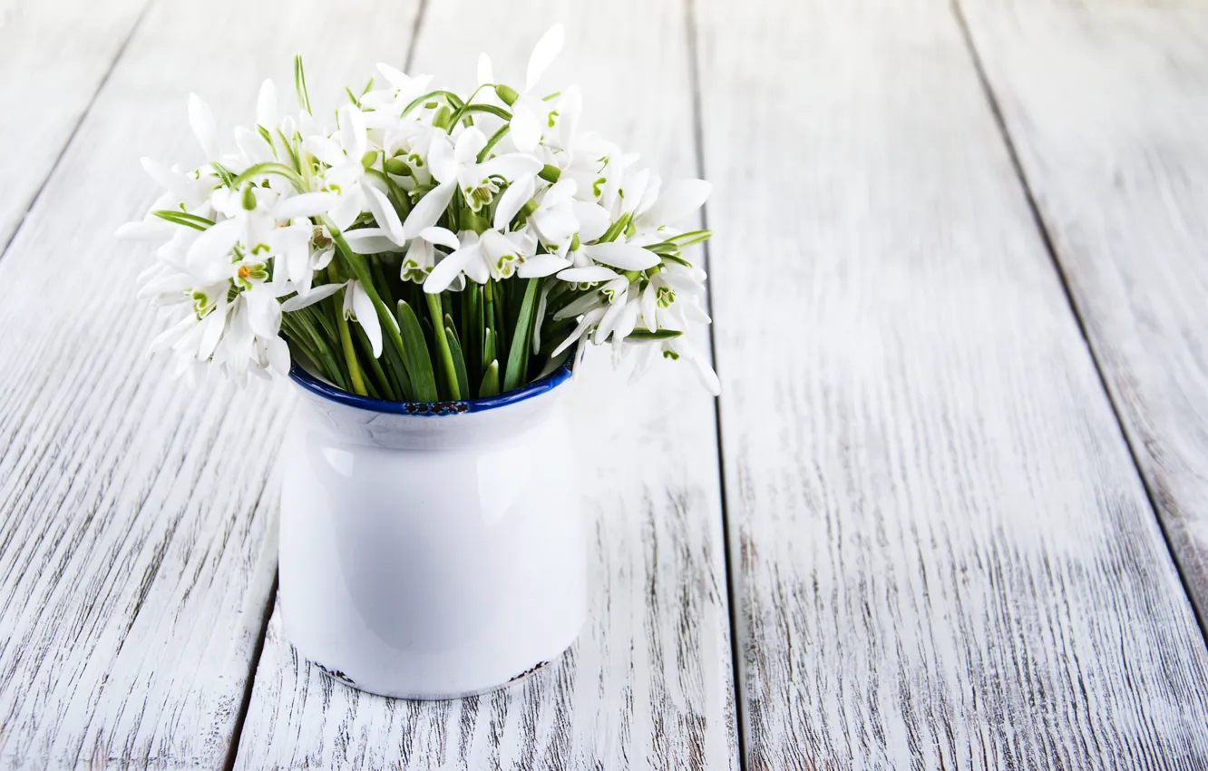 Photo wallpaper flowers, bouquet, snowdrops, white, white, flowers, spring, Snowdrops