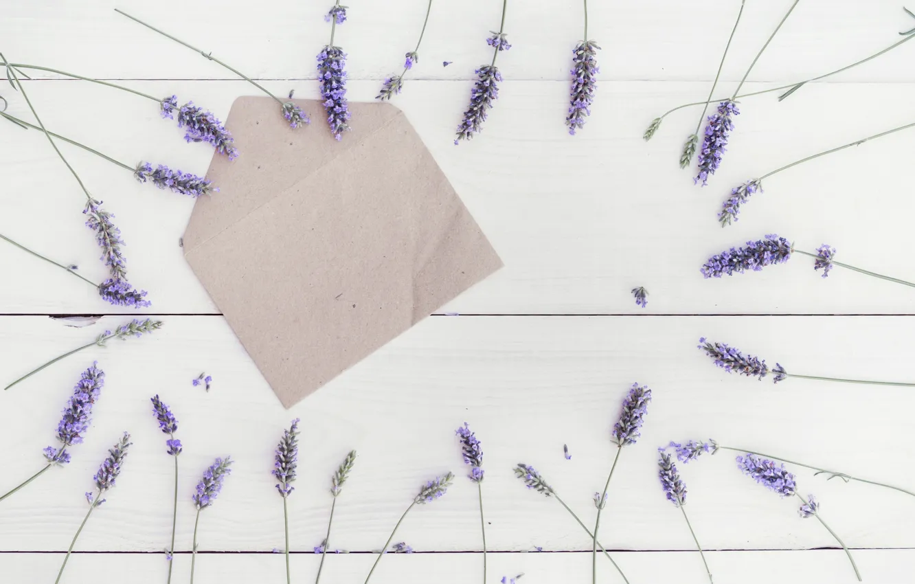 Photo wallpaper Flowers, lavender, the envelope
