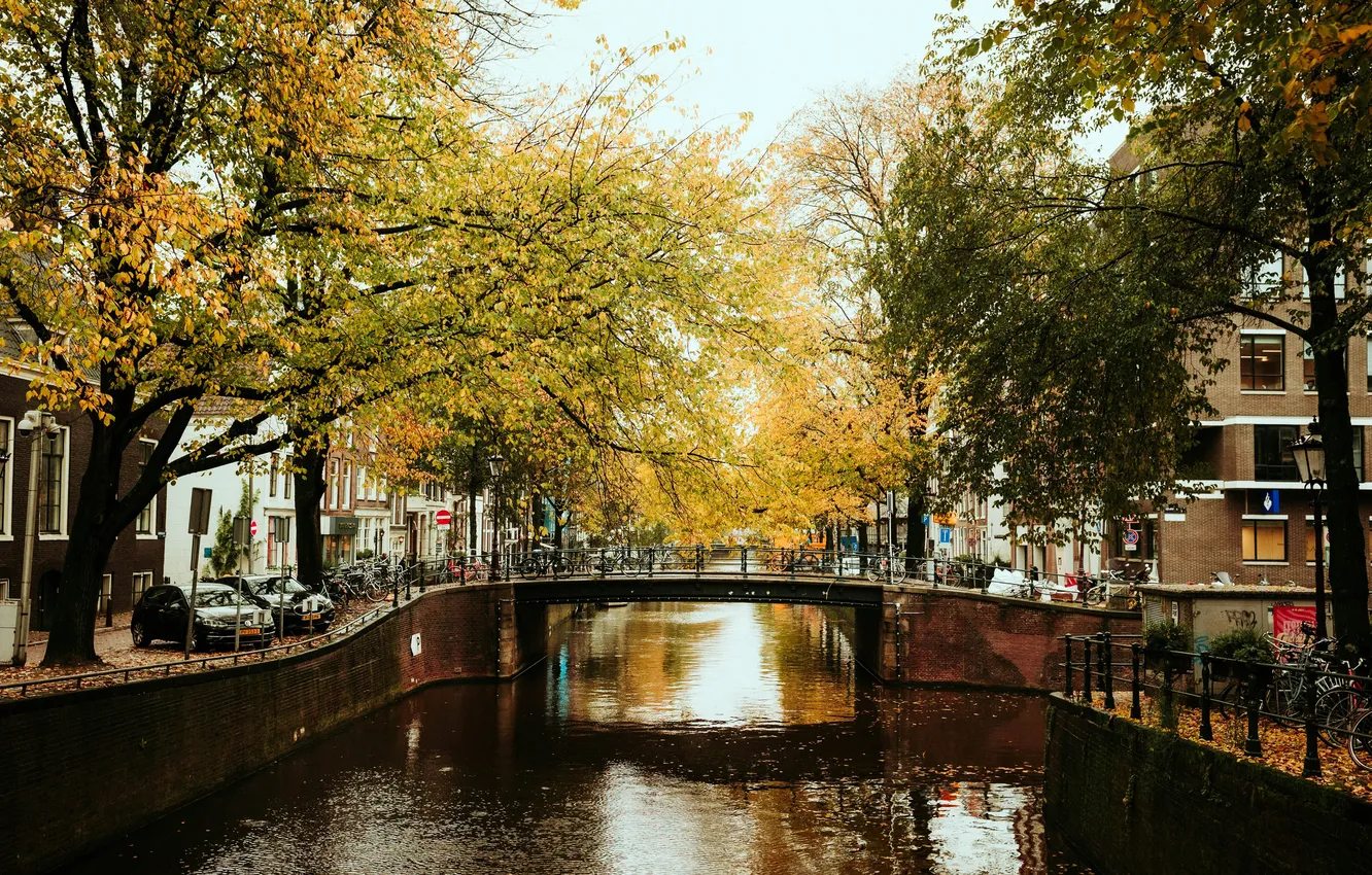 Photo wallpaper autumn, bridge, the city, river, Amsterdam, Netherlands, river, Amsterdam