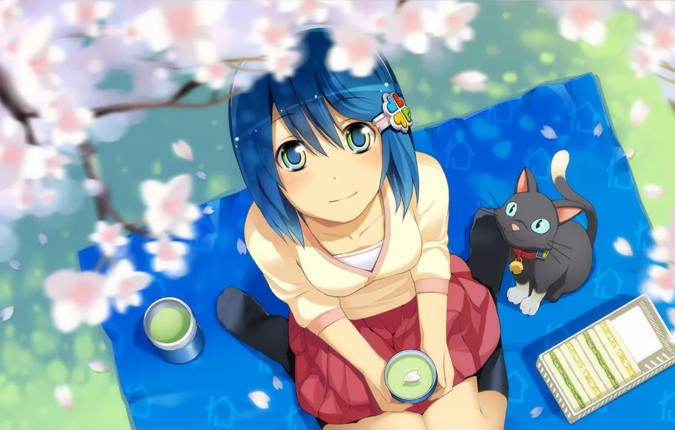 Photo wallpaper cat, Sakura, girl, pink, picnic, lepecki, cherry blossom