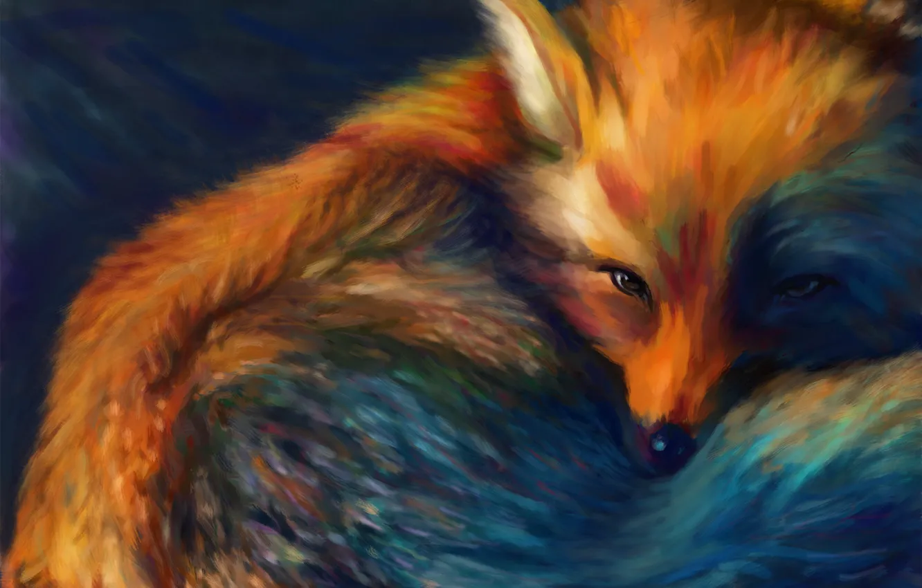 Photo wallpaper muzzle, tail, fox, Fox, red head, curled up, by Digitds