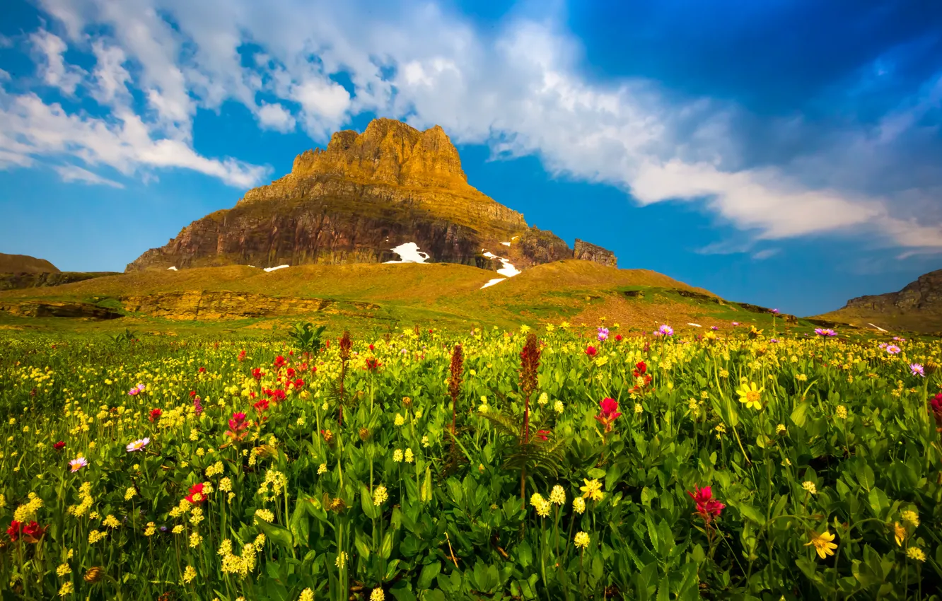 Photo wallpaper the sky, clouds, flowers, mountains, plant, valley