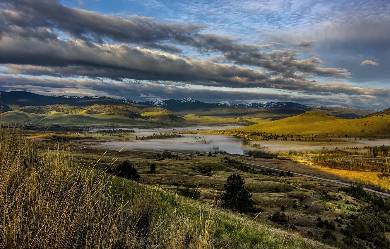 Photo wallpaper road, field, the sky, grass, clouds, trees, mountains, fog