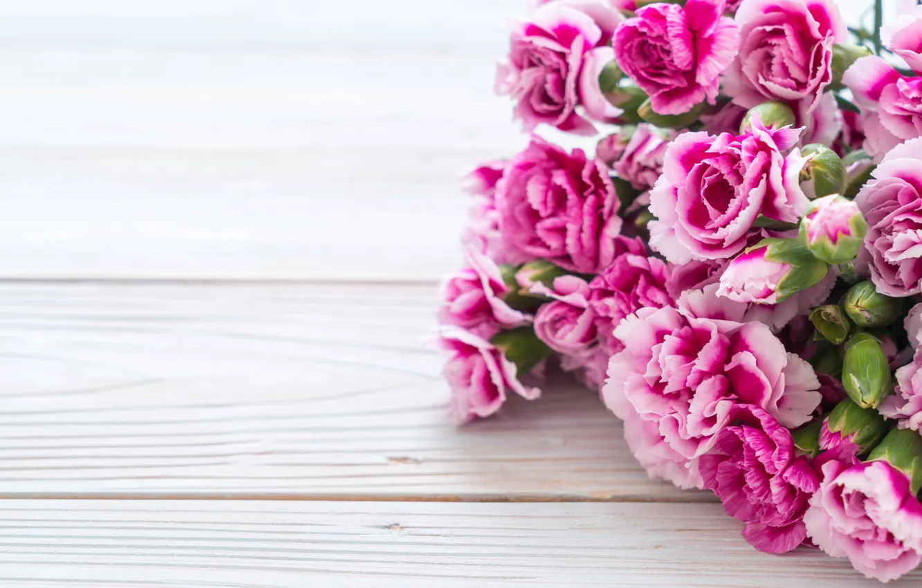 Photo wallpaper bouquet, pink, clove