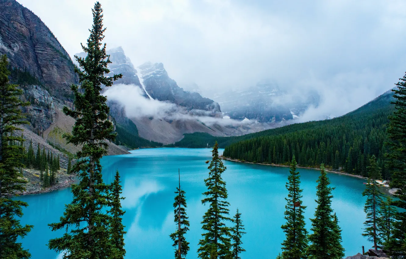 Photo wallpaper forest, mountains, lake, shore, ate, Canada, Albert