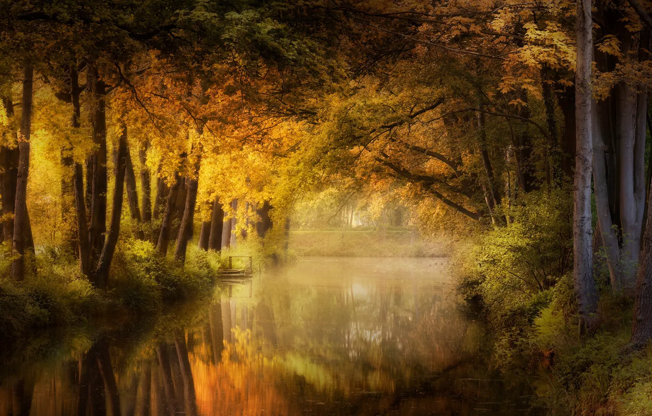 Photo wallpaper autumn, forest, light, pond, Park, reflection, foliage, channel