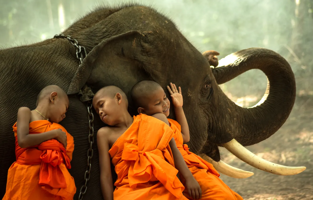 Photo wallpaper nature, boy, asian, monk