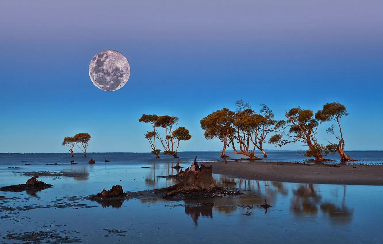 Photo wallpaper the sky, landscape, nature, the moon