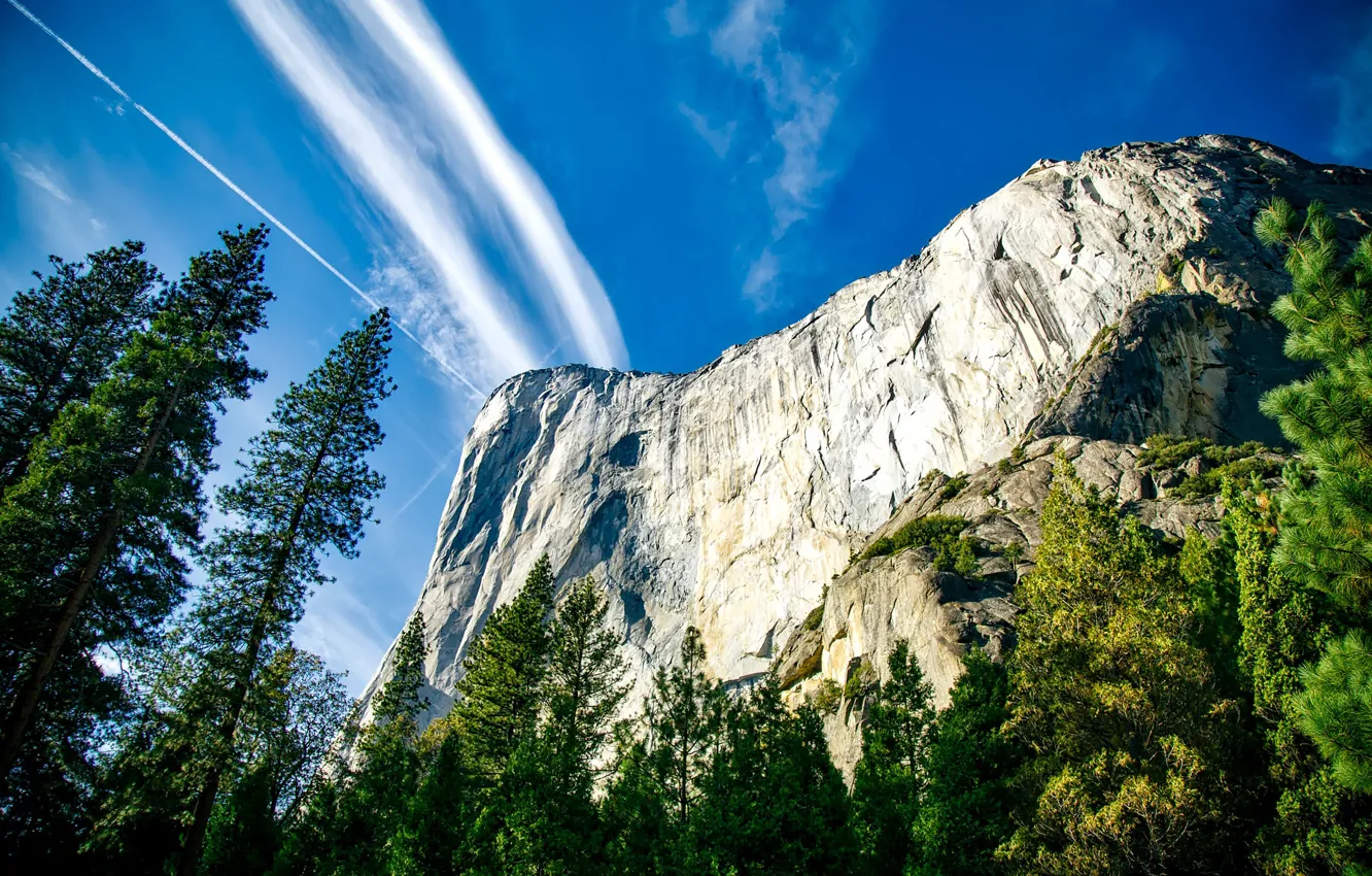 Photo wallpaper the sky, trees, rocks, USA, Yosemite, Yosemite National Park