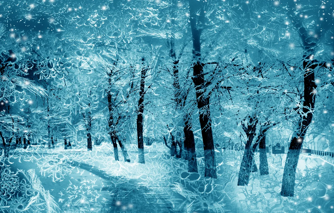 Photo wallpaper winter, snow, trees, snowflakes, nature, nature, winter, snow