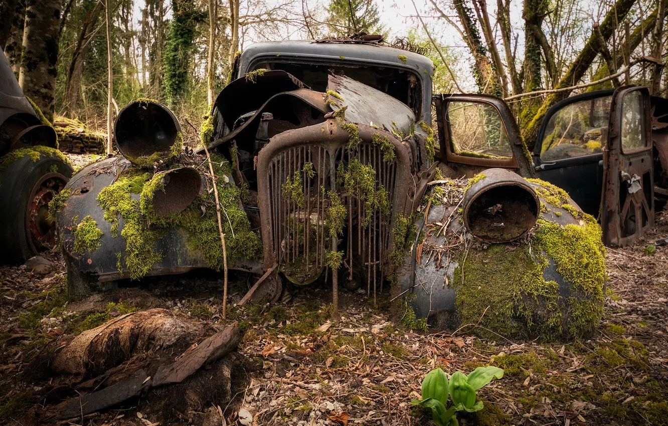 Photo wallpaper machine, background, scrap