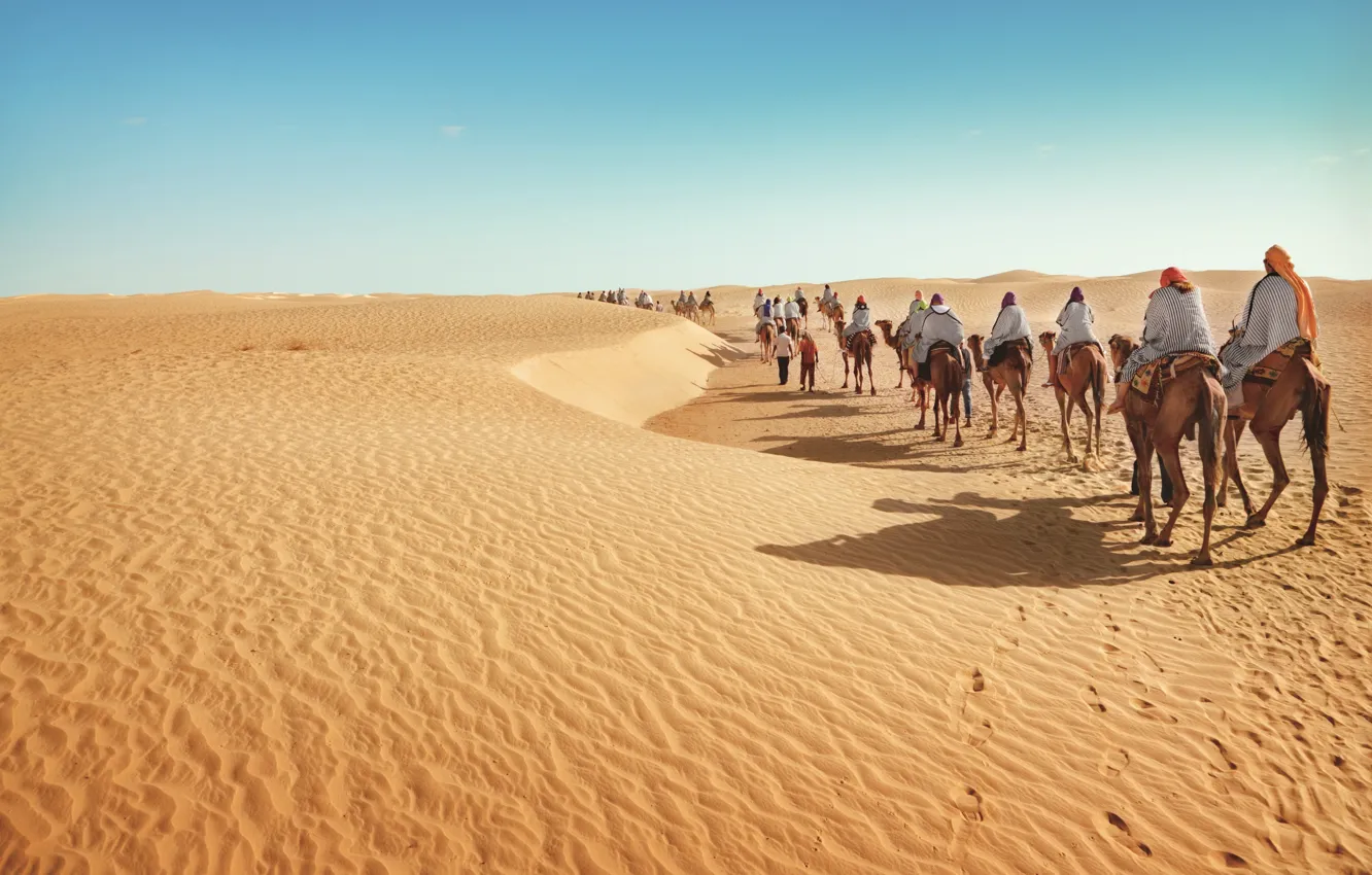 Photo wallpaper desert, sand, tourism, camels, caravan
