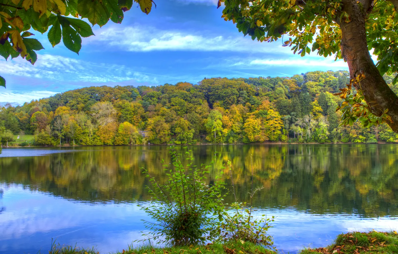 Photo wallpaper autumn, forest, water, trees, reflection, river, shore, Germany