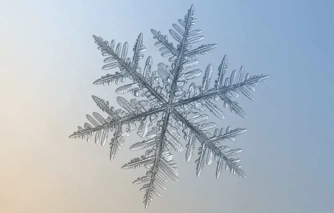 Photo wallpaper ice, winter, snow, snowflakes