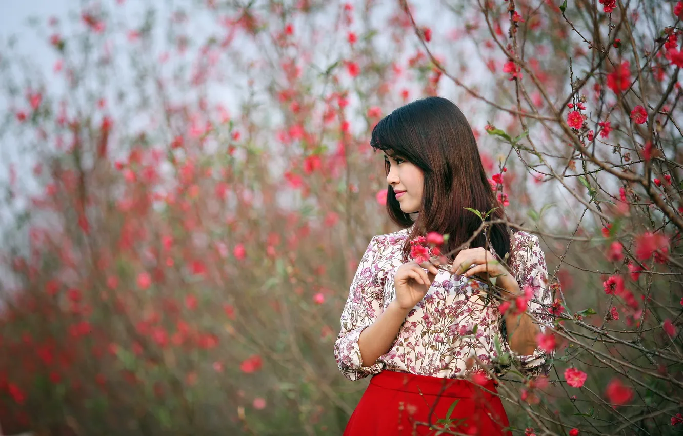 Photo wallpaper girl, background, Asian