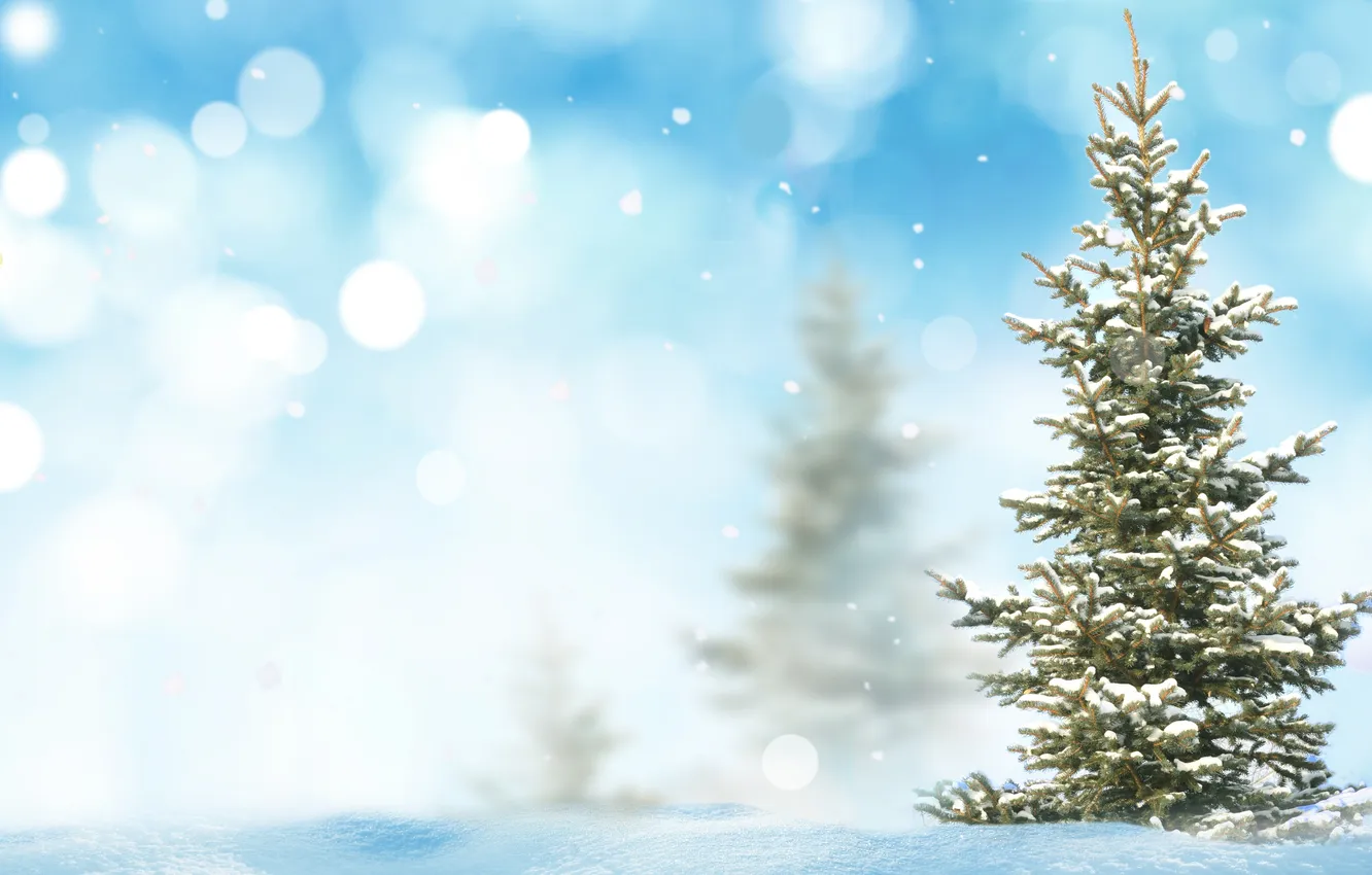 Photo wallpaper snow, tree, bokeh