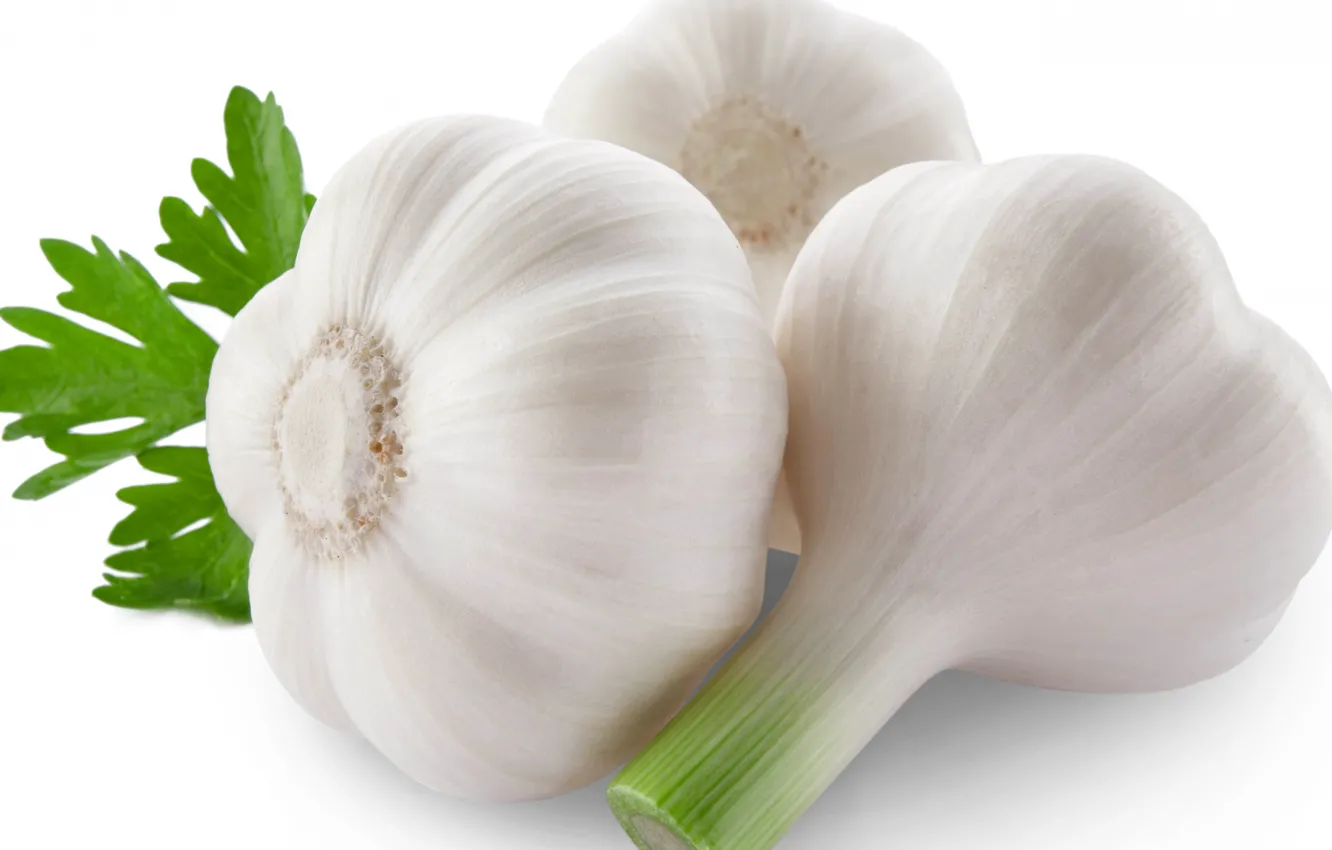 Photo wallpaper macro, food, vegetables, garlic, seasoning