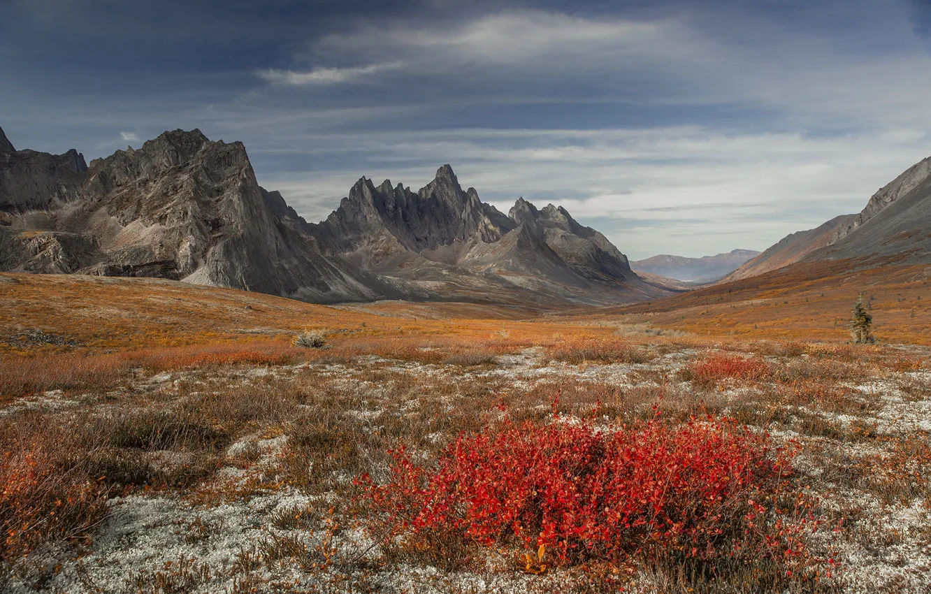 Photo wallpaper autumn, landscape, mountains, nature, vegetation, valley, Canada, Yukon