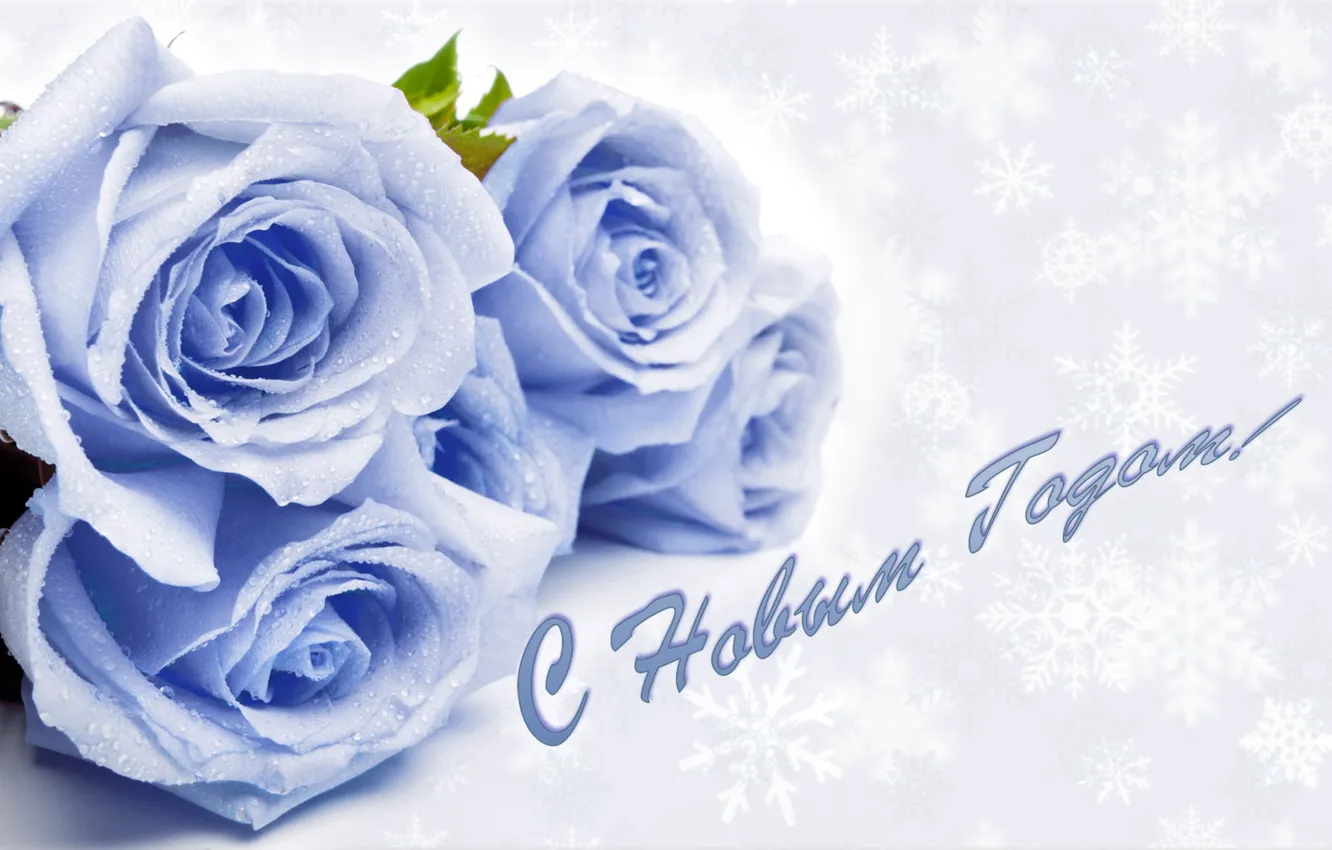 Photo wallpaper snowflakes, roses, congratulations