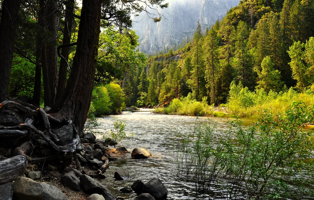 Photo wallpaper forest, lake, CA, USA, Yosemite