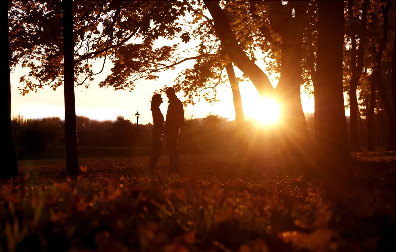 Photo wallpaper grass, girl, trees, sunset, Park, dawn, feelings, silhouette