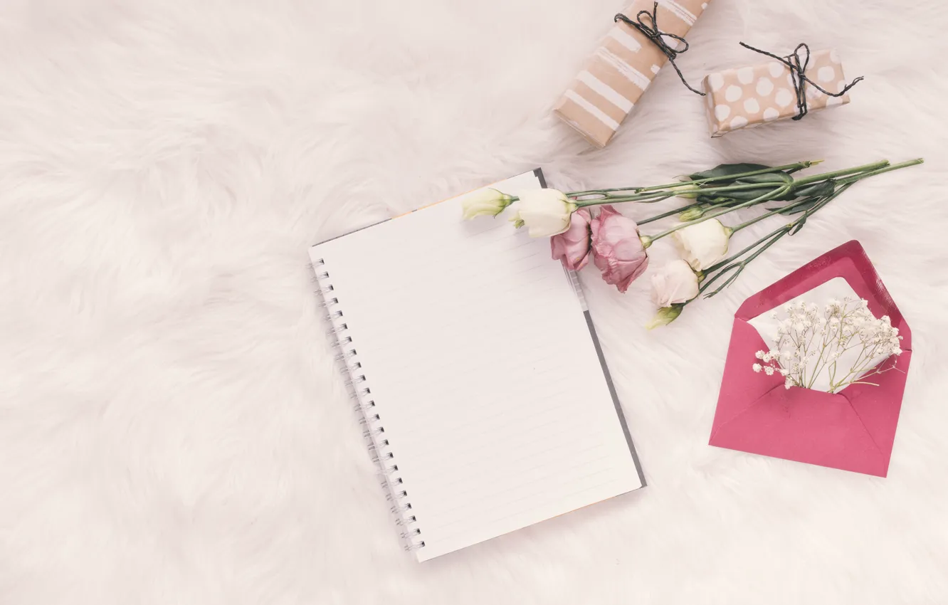 Photo wallpaper gift, Notepad, the envelope, eustoma