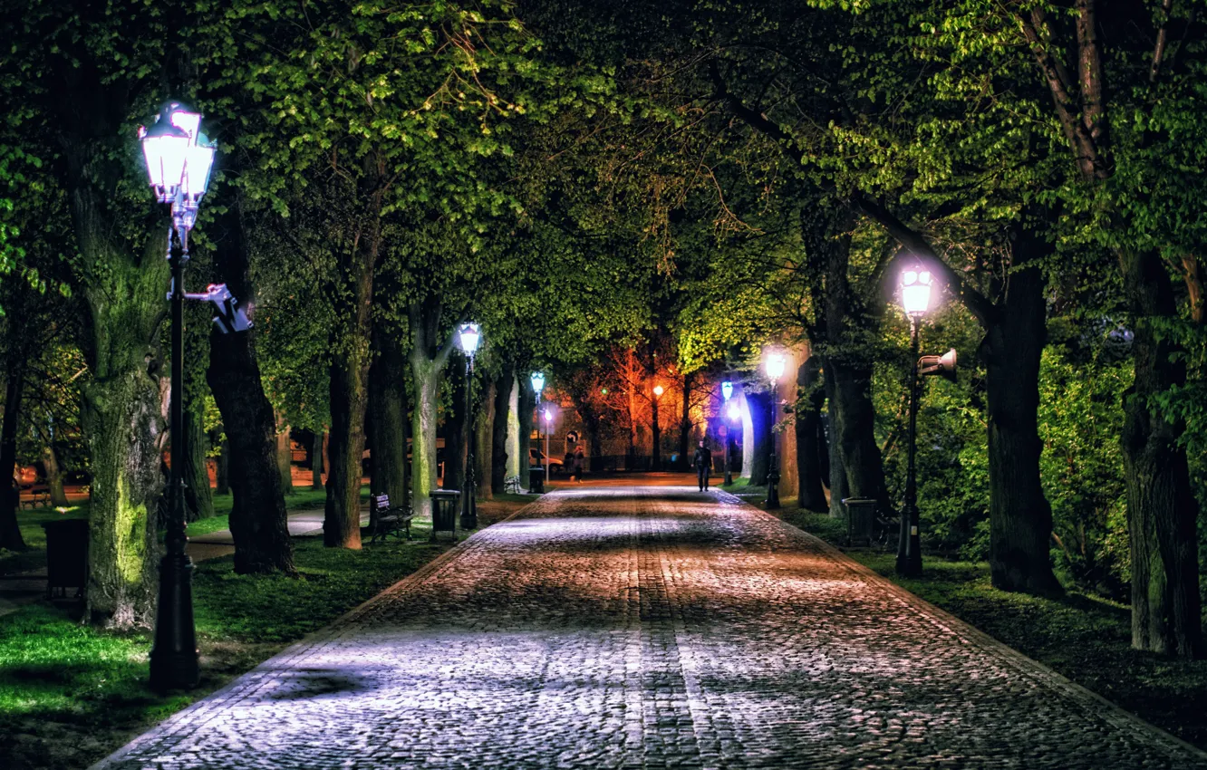 Photo wallpaper trees, night, lights, Park, Poland, lights, track, alley