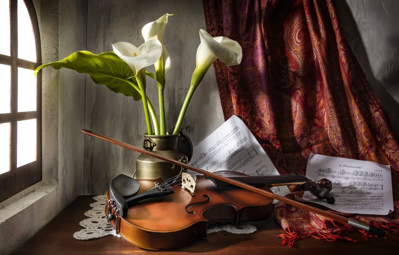 Photo wallpaper light, flowers, notes, music, table, violin, bouquet, window