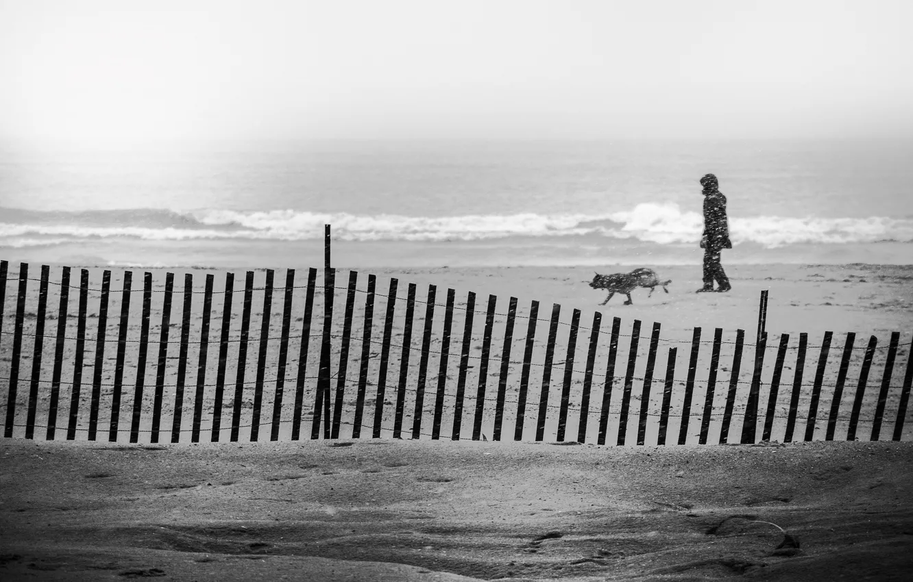 Photo wallpaper waves, storm, beach, ocean, seascape, dog, man, sand