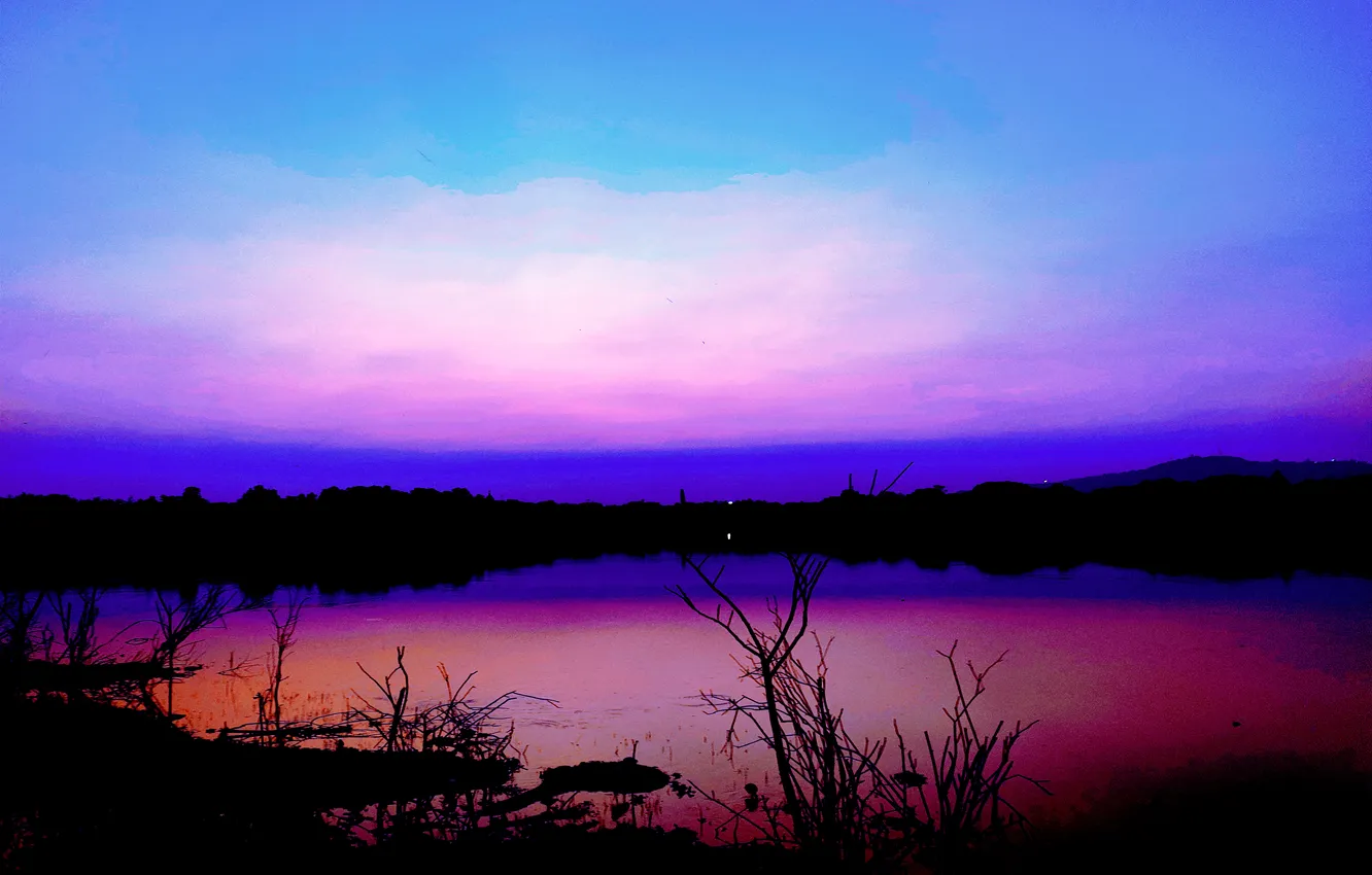 Photo wallpaper trees, water, lake, morning, sun, sunrise, dawn, woods