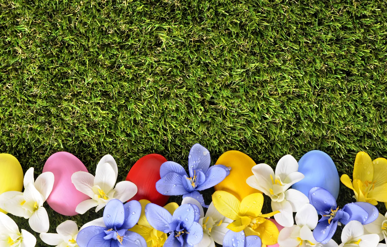 Photo wallpaper grass, flowers, spring, Easter, flowers, spring, Easter, eggs