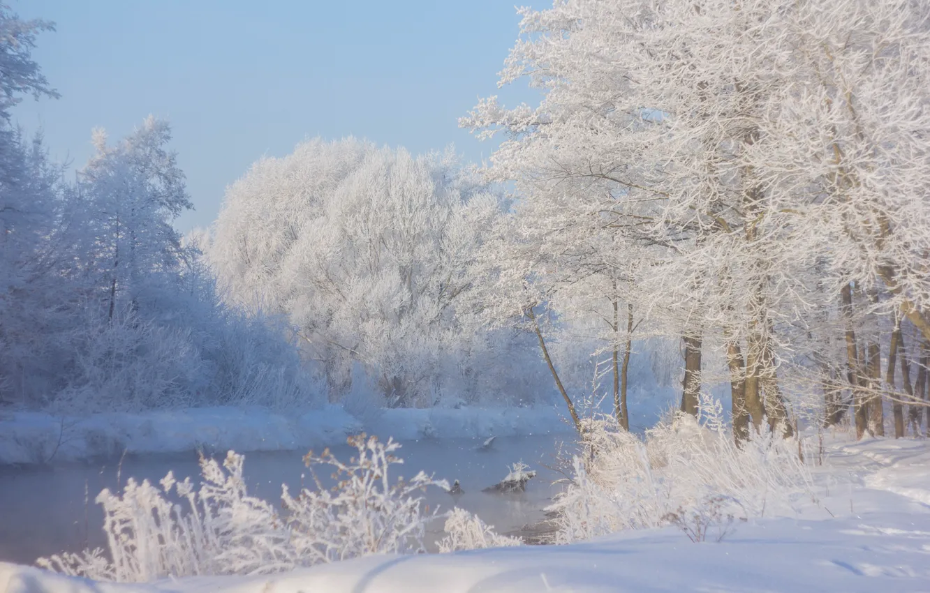 Photo wallpaper winter, snow, river, frost, snow