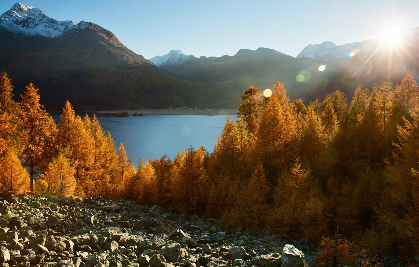 Photo wallpaper autumn, forest, the sun, rays, light, mountains, glare, stones