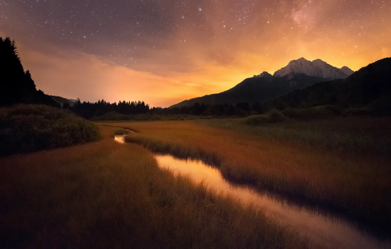 Photo wallpaper the sky, grass, stars, trees, landscape, mountains, night, nature