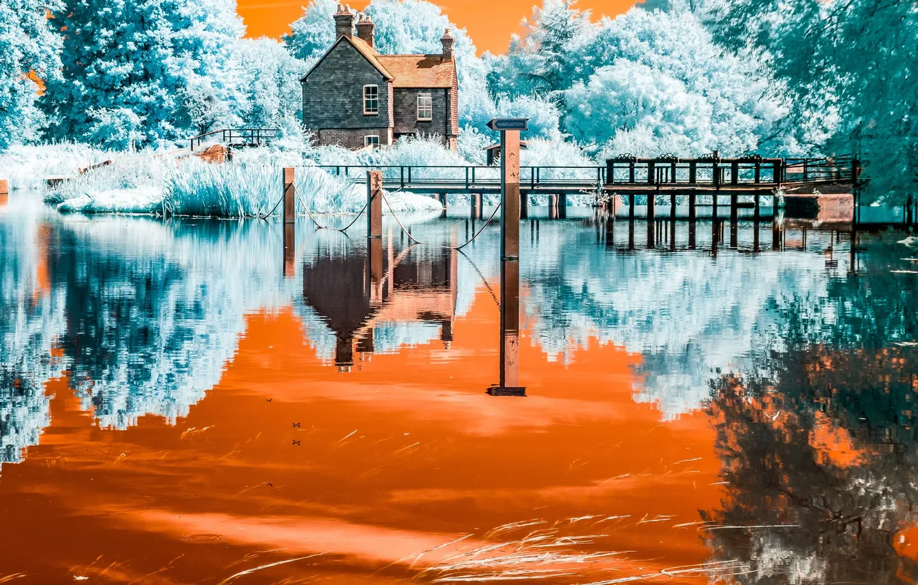 Photo wallpaper color, trees, house, river, the bridge