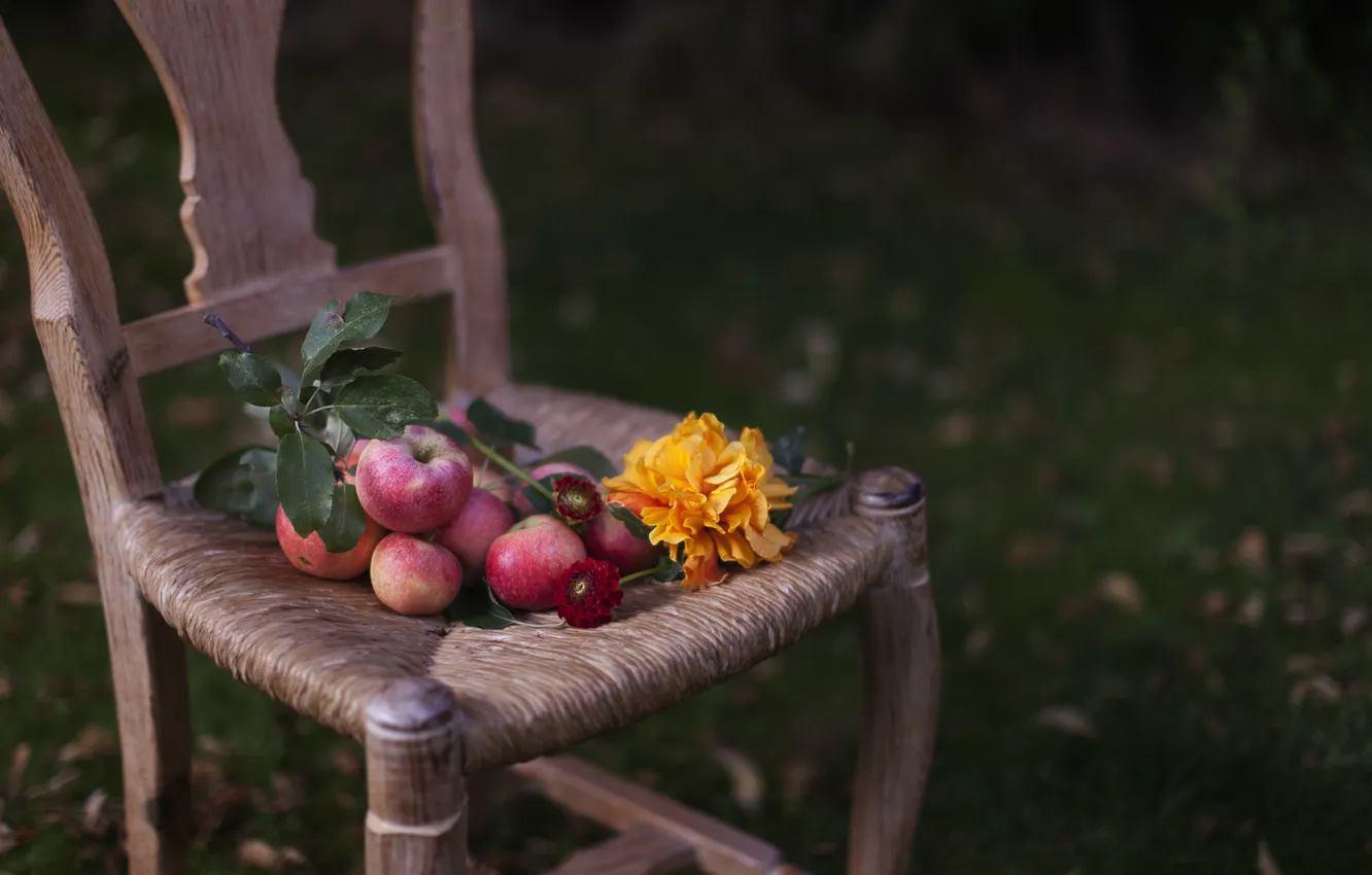 Photo wallpaper apples, sunflower, chair