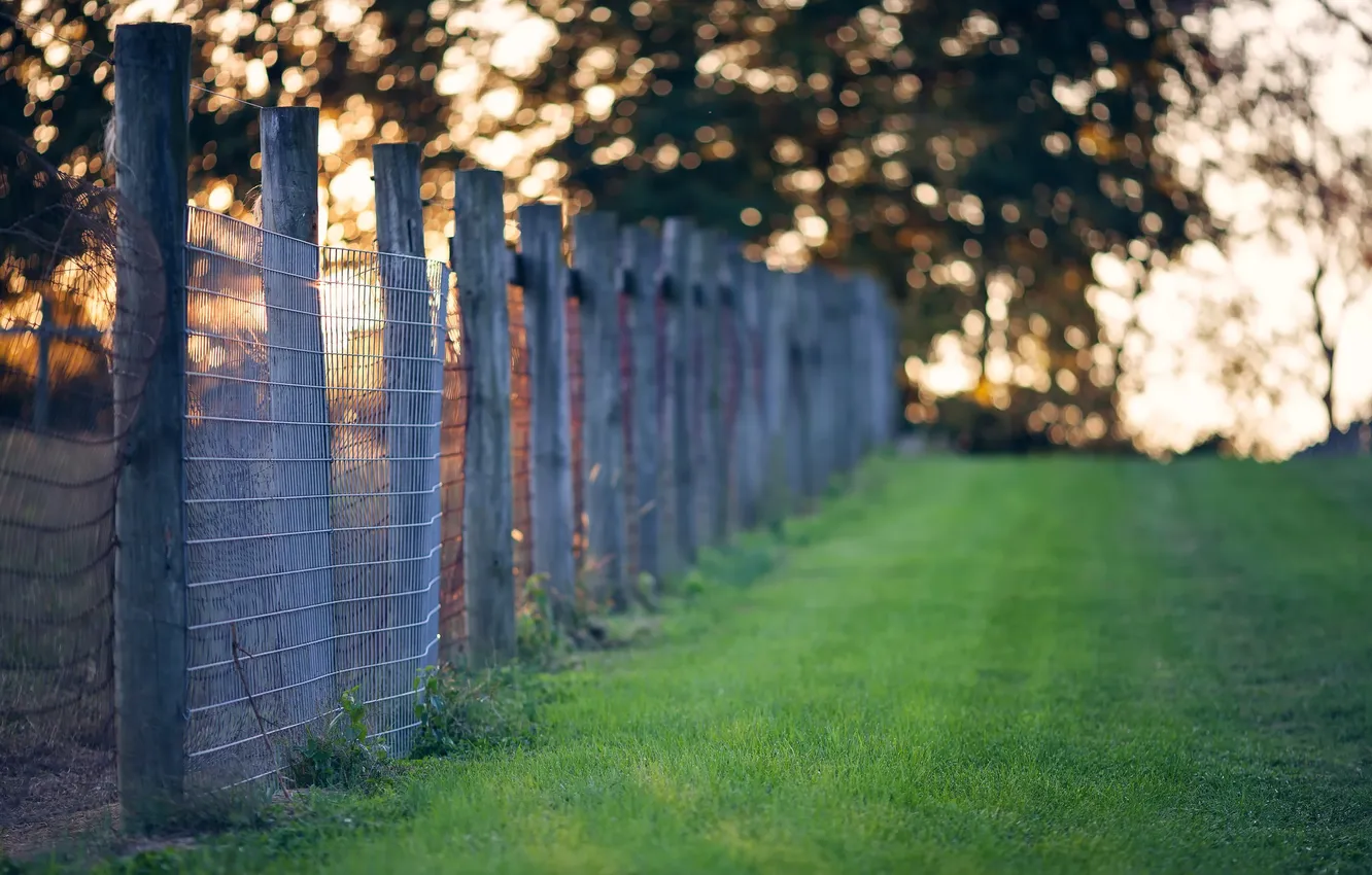 Photo wallpaper field, the fence, morning
