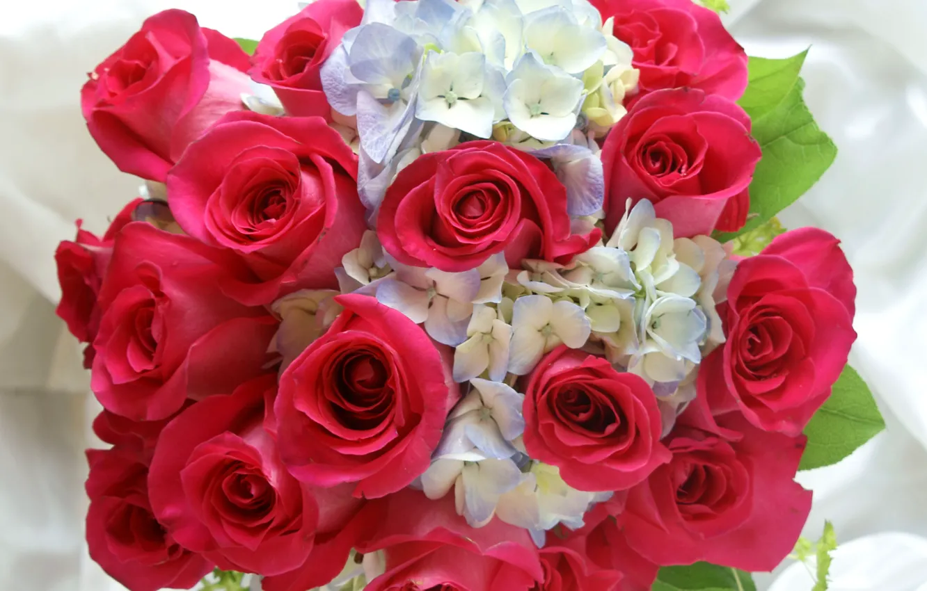 Photo wallpaper photo, Flowers, Bouquet, Roses, Hydrangea