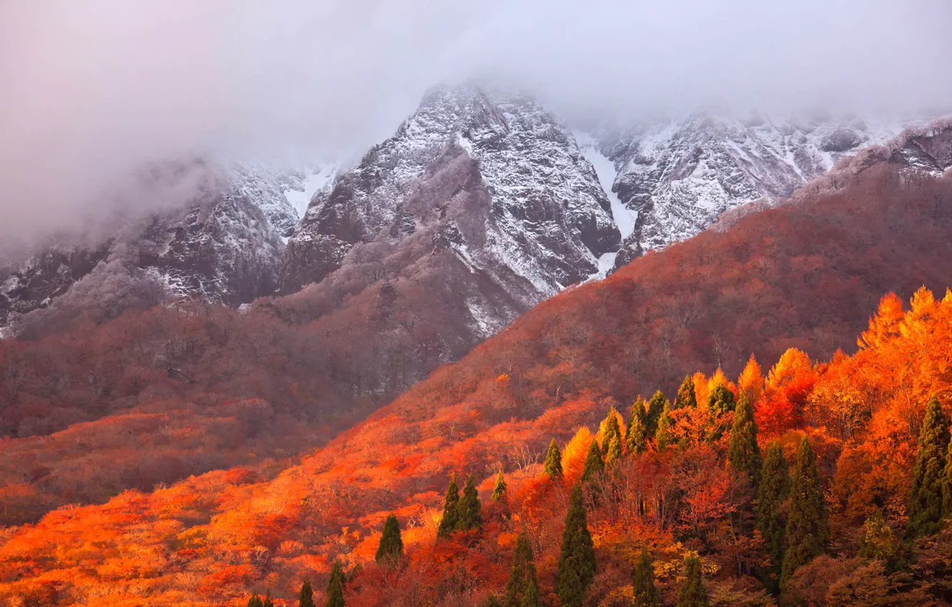 Photo wallpaper autumn, mountains, Japan