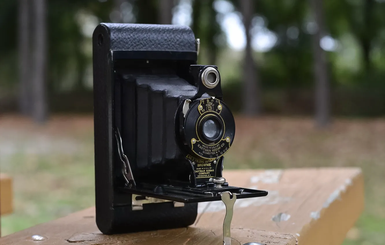 Photo wallpaper macro, background, camera